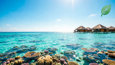 المالديف (الرسوم البيئية)