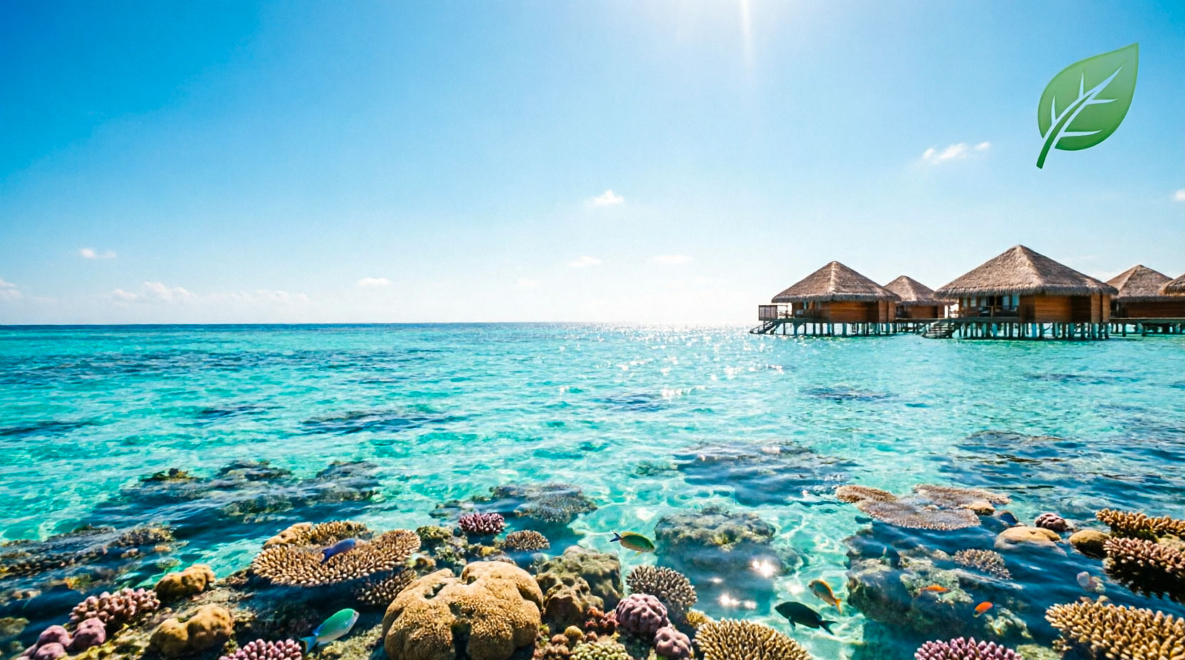 المالديف (الرسوم البيئية)